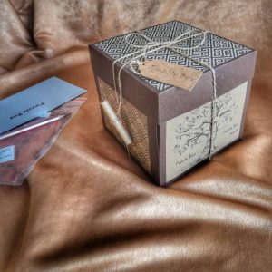 Кутия на загадките Puzzle Box, Сезон 1
